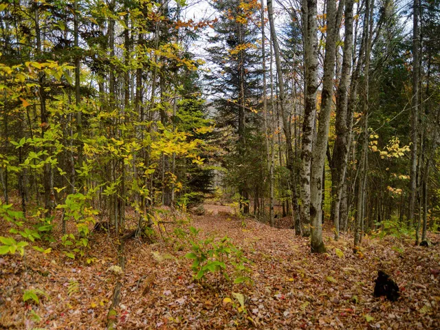 $95,000 | 665 West Hill Road, Wolcott, VT 05680