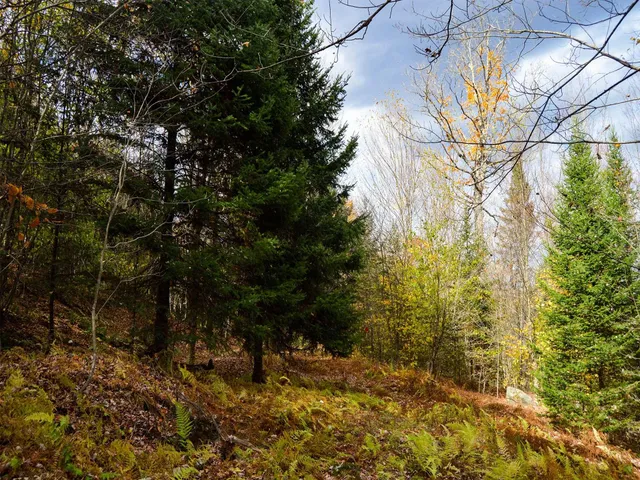 $95,000 | 665 West Hill Road, Wolcott, VT 05680