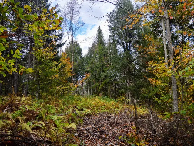 $95,000 | 665 West Hill Road, Wolcott, VT 05680