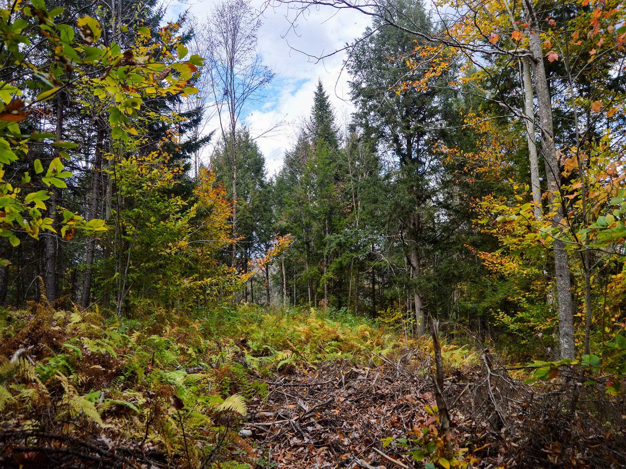 665 West Hill Road Wolcott, VT 05680 - Photo 20 of 29