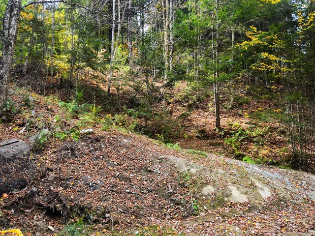 $95,000 | 665 West Hill Road, Wolcott, VT 05680