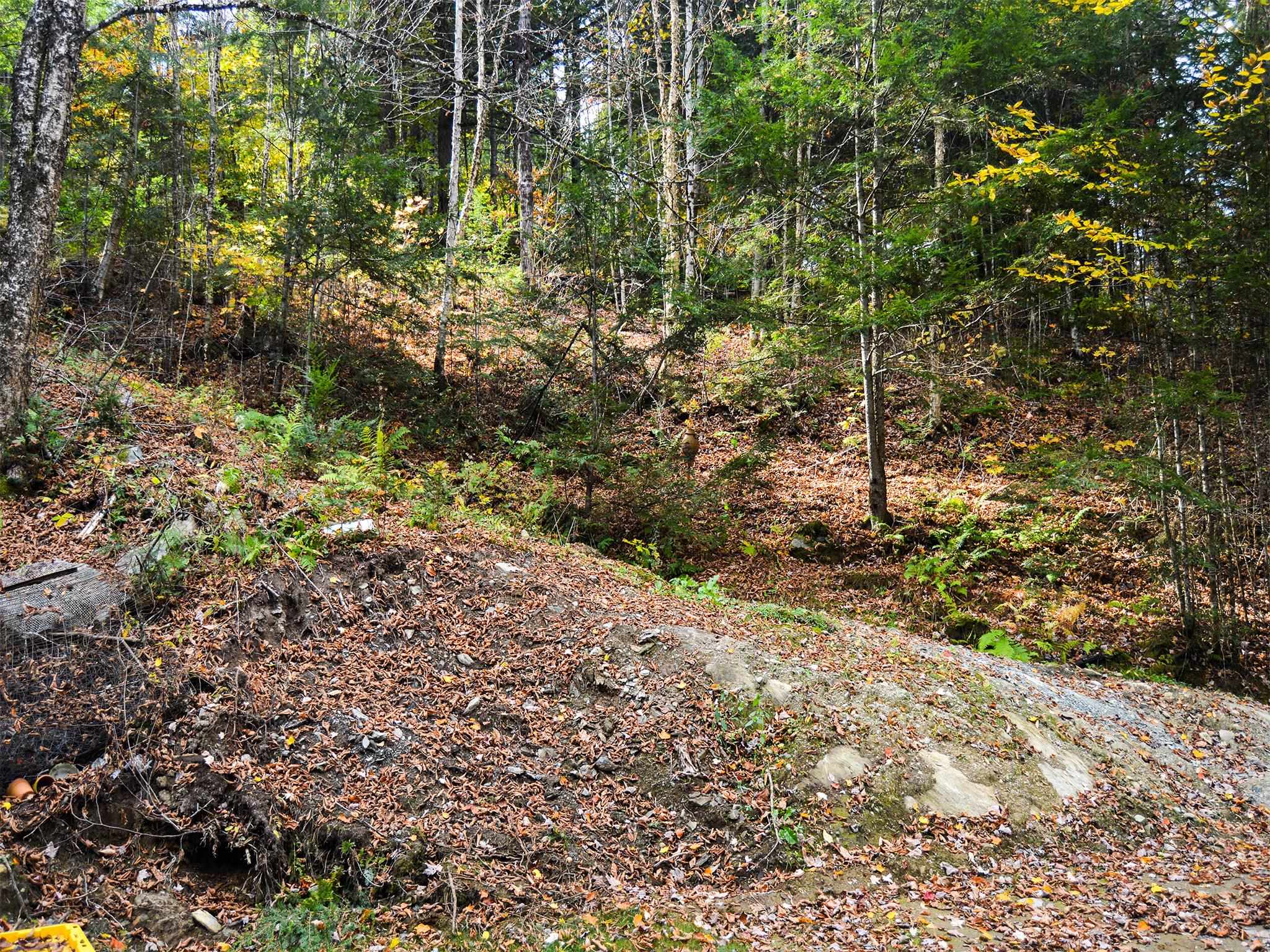 665 West Hill Road Wolcott, VT 05680 - Photo 2 of 29