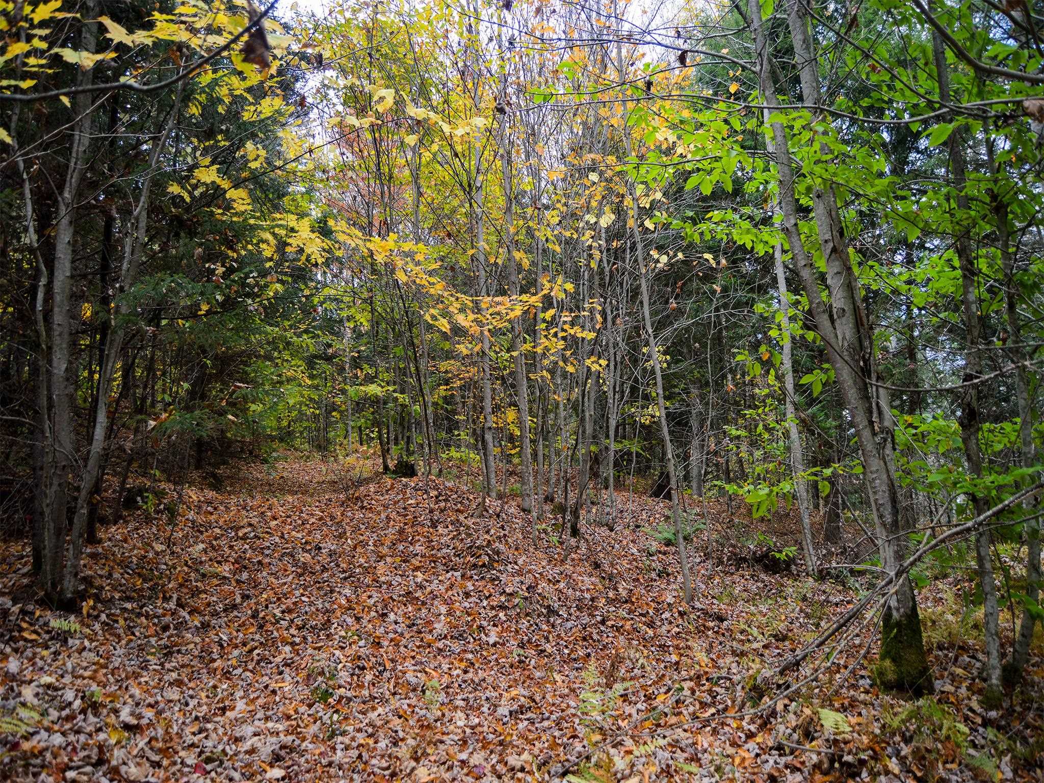 665 West Hill Road Wolcott, VT 05680 - Photo 21 of 29