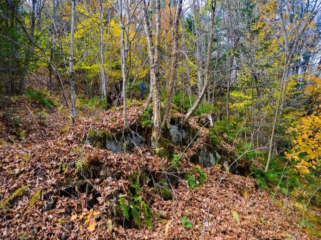 $95,000 | 665 West Hill Road, Wolcott, VT 05680