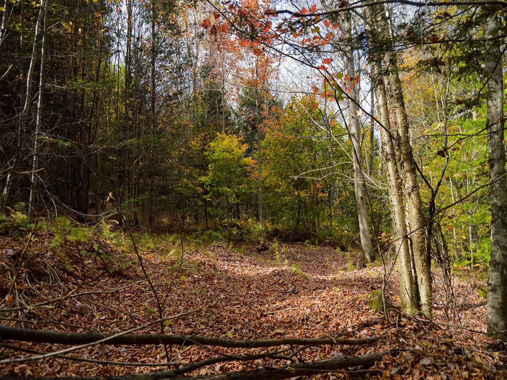 665 West Hill Road Wolcott, VT 05680 - Photo 23 of 29
