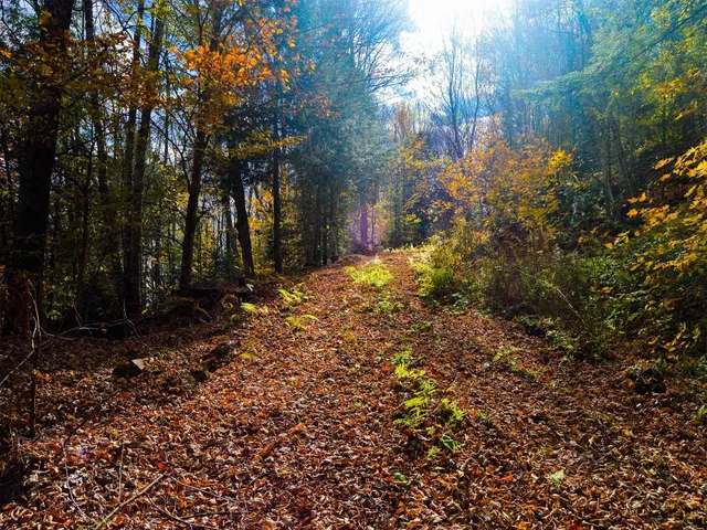 $95,000 | 665 West Hill Road, Wolcott, VT 05680