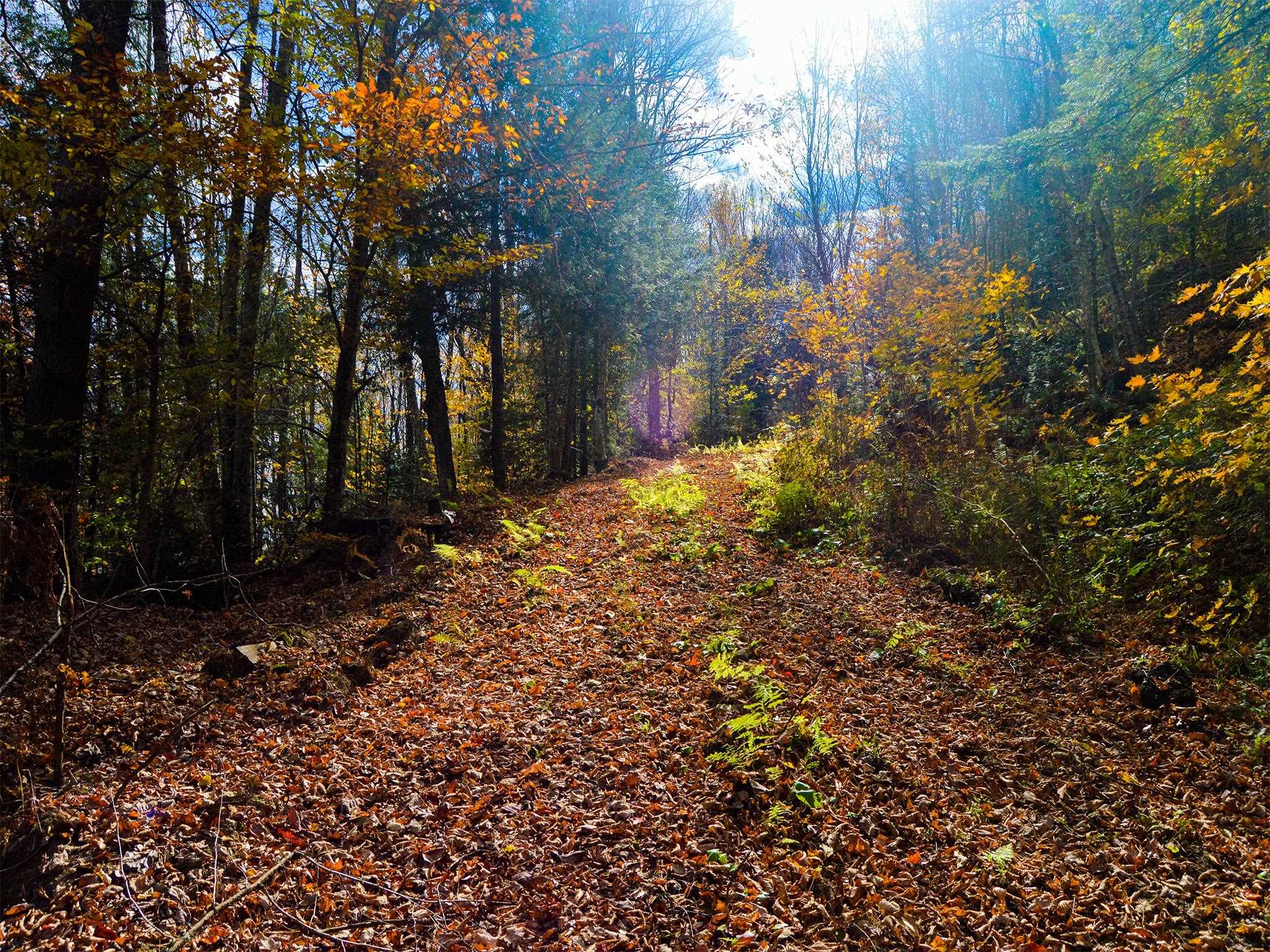 665 West Hill Road Wolcott, VT 05680 - Photo 3 of 29