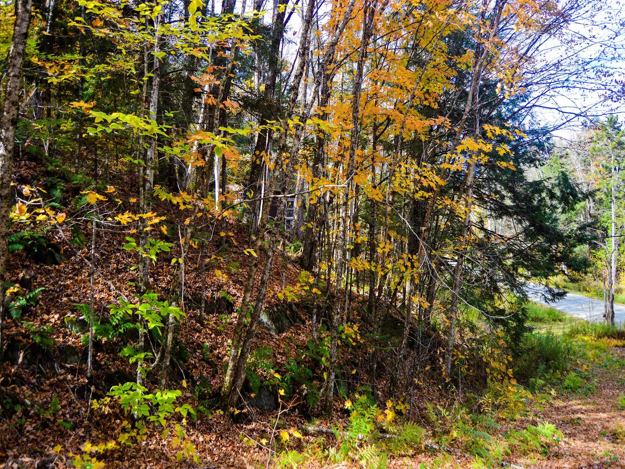 665 West Hill Road Wolcott, VT 05680 - Photo 4 of 29