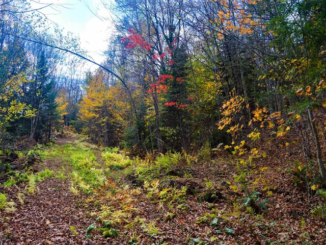 $95,000 | 665 West Hill Road, Wolcott, VT 05680