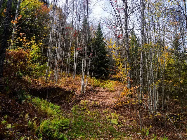 $95,000 | 665 West Hill Road, Wolcott, VT 05680