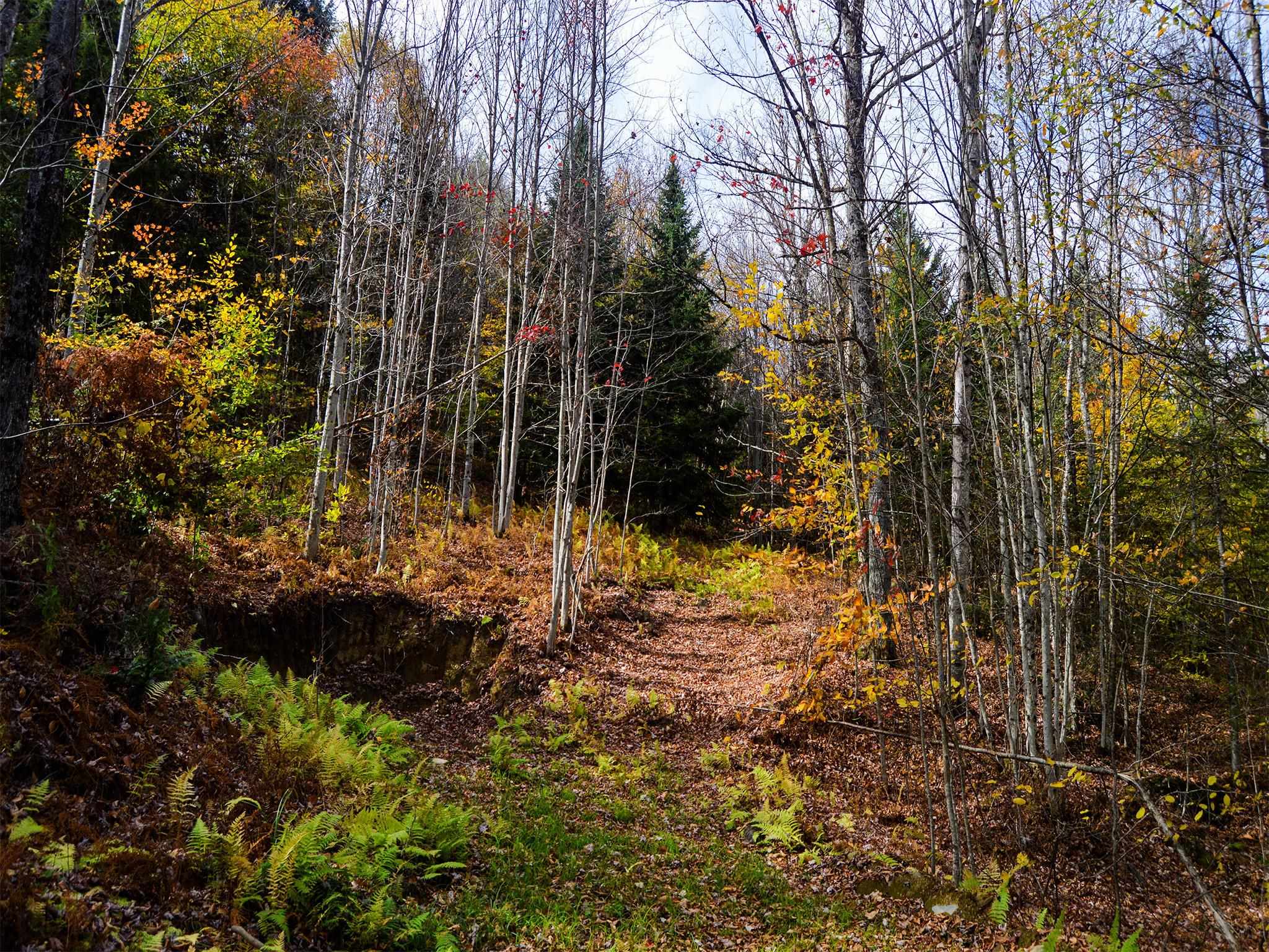 665 West Hill Road Wolcott, VT 05680 - Photo 7 of 29