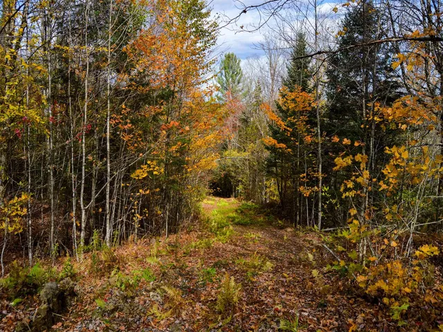 $95,000 | 665 West Hill Road, Wolcott, VT 05680