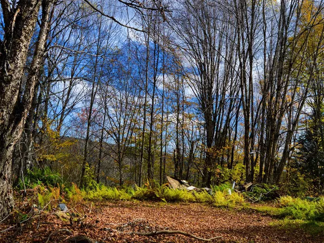 $95,000 | 665 West Hill Road, Wolcott, VT 05680