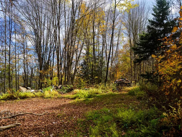 $95,000 | 665 West Hill Road, Wolcott, VT 05680