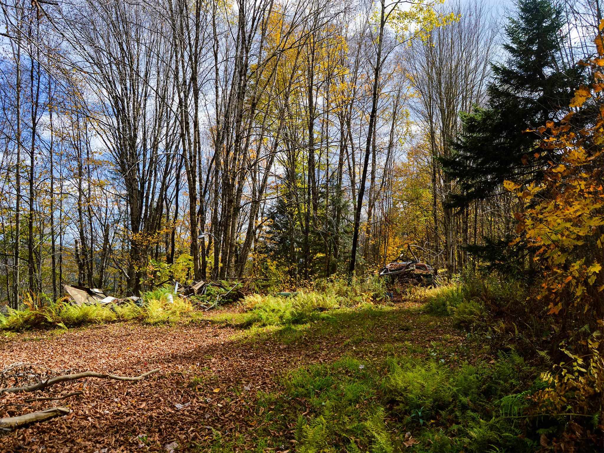 665 West Hill Road Wolcott, VT 05680 - Photo 10 of 29