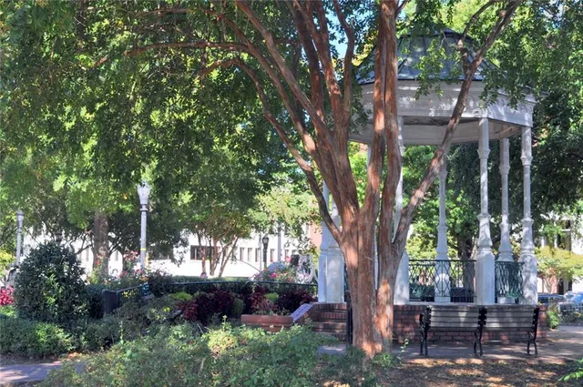 a view of a backyard with large trees and plants