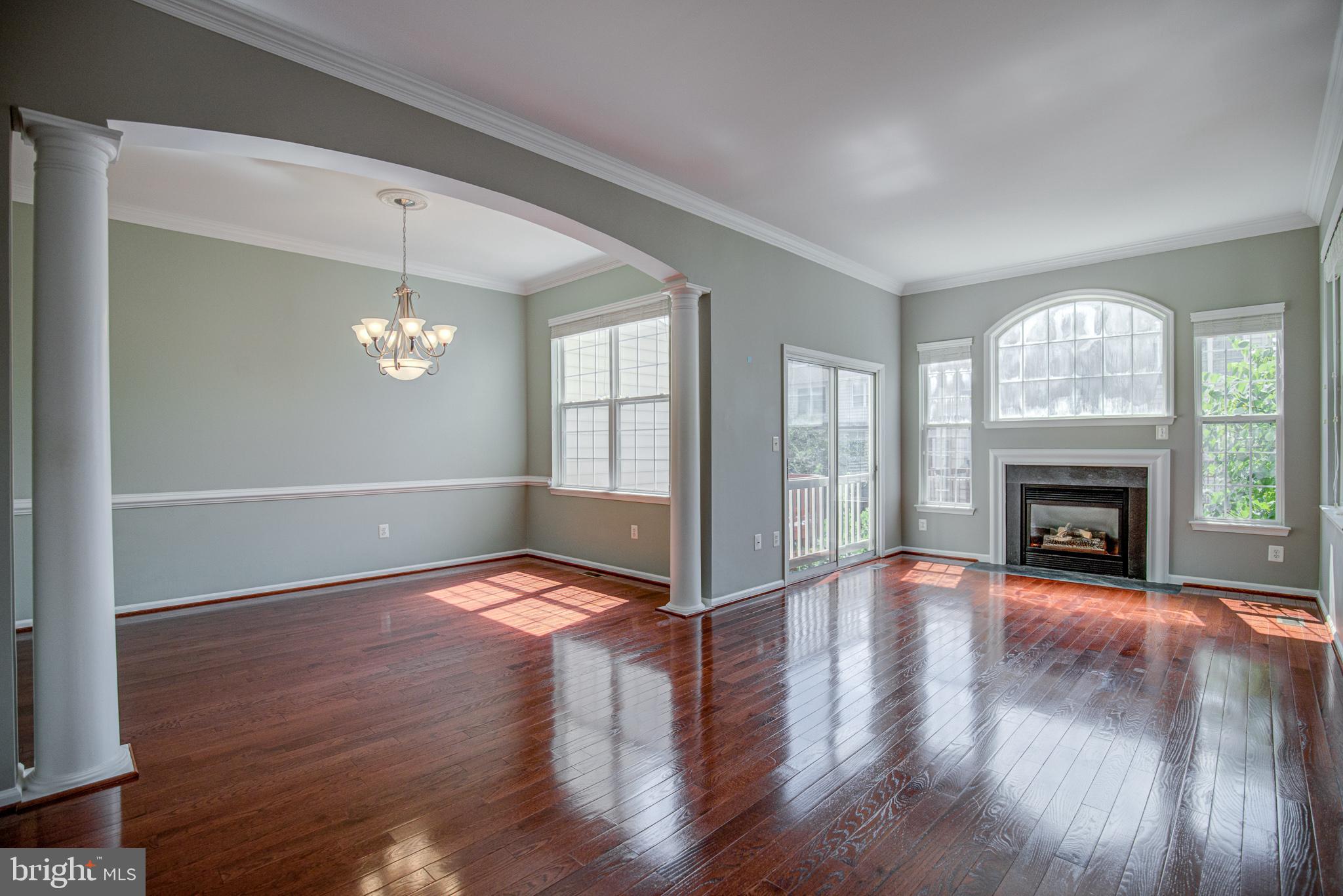 20609 Glenmere Square Sterling, VA 20165 - Photo 19 of 50 Family Room with gas fireplace