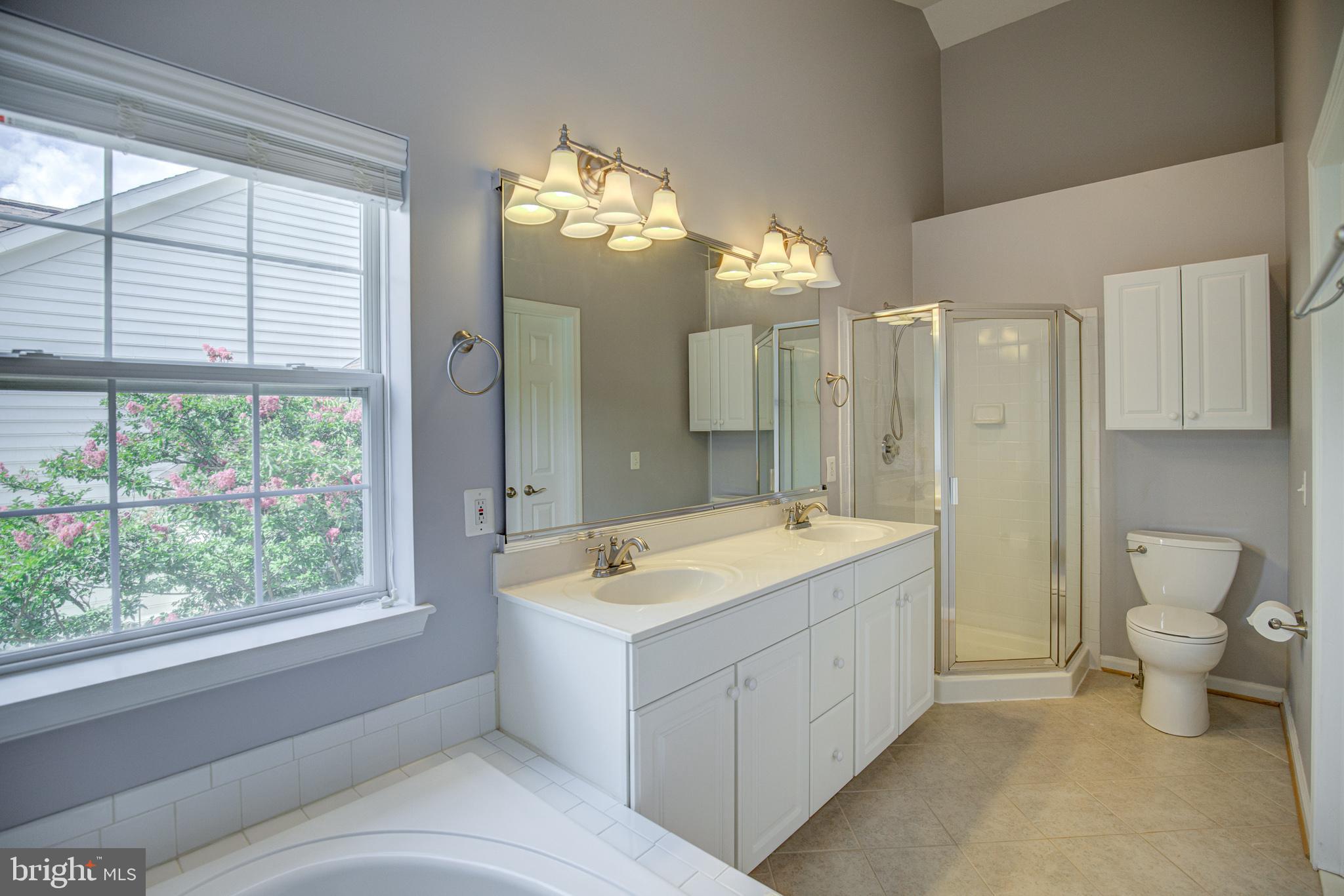 20609 Glenmere Square Sterling, VA 20165 - Photo 35 of 50 Primary bath with separate shower