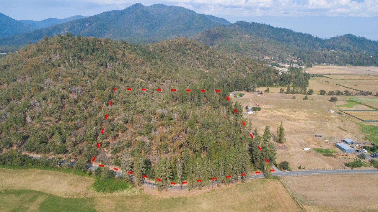 Estimated boundary