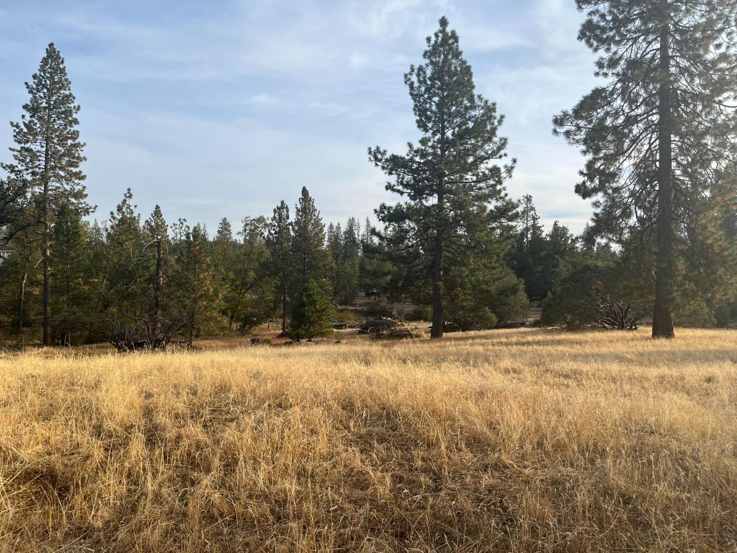 3236 Triangle Park Road Mariposa, CA 95338 - Photo 5 of 6 Gallery Image 5