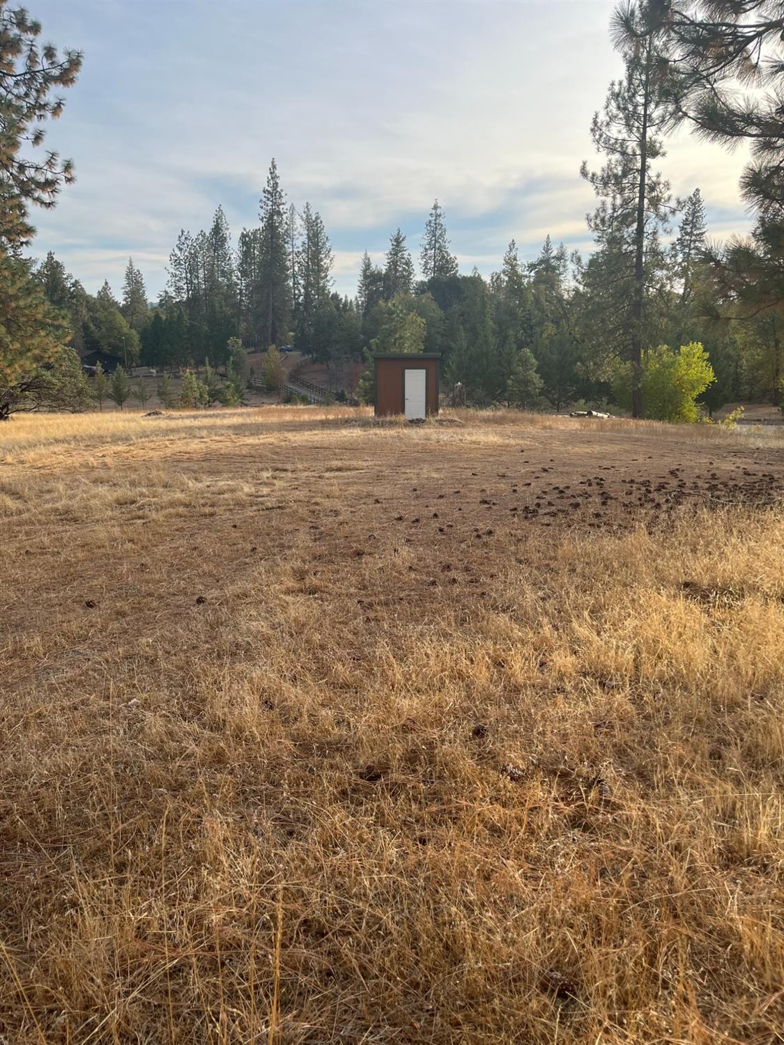 3236 Triangle Park Road Mariposa, CA 95338 - Photo 6 of 6 Gallery Image 6