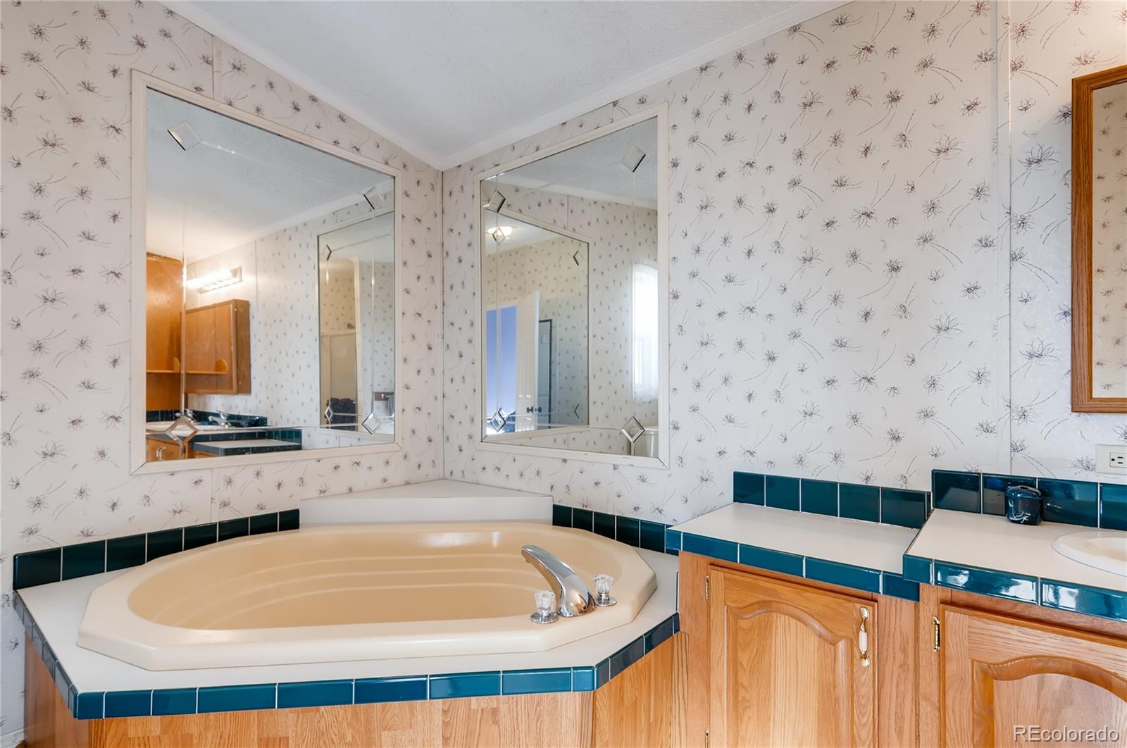 13801 Cavanaugh Road Hudson, CO 80642 - Photo 16 of 39 a bathroom with a bathtub and a sink