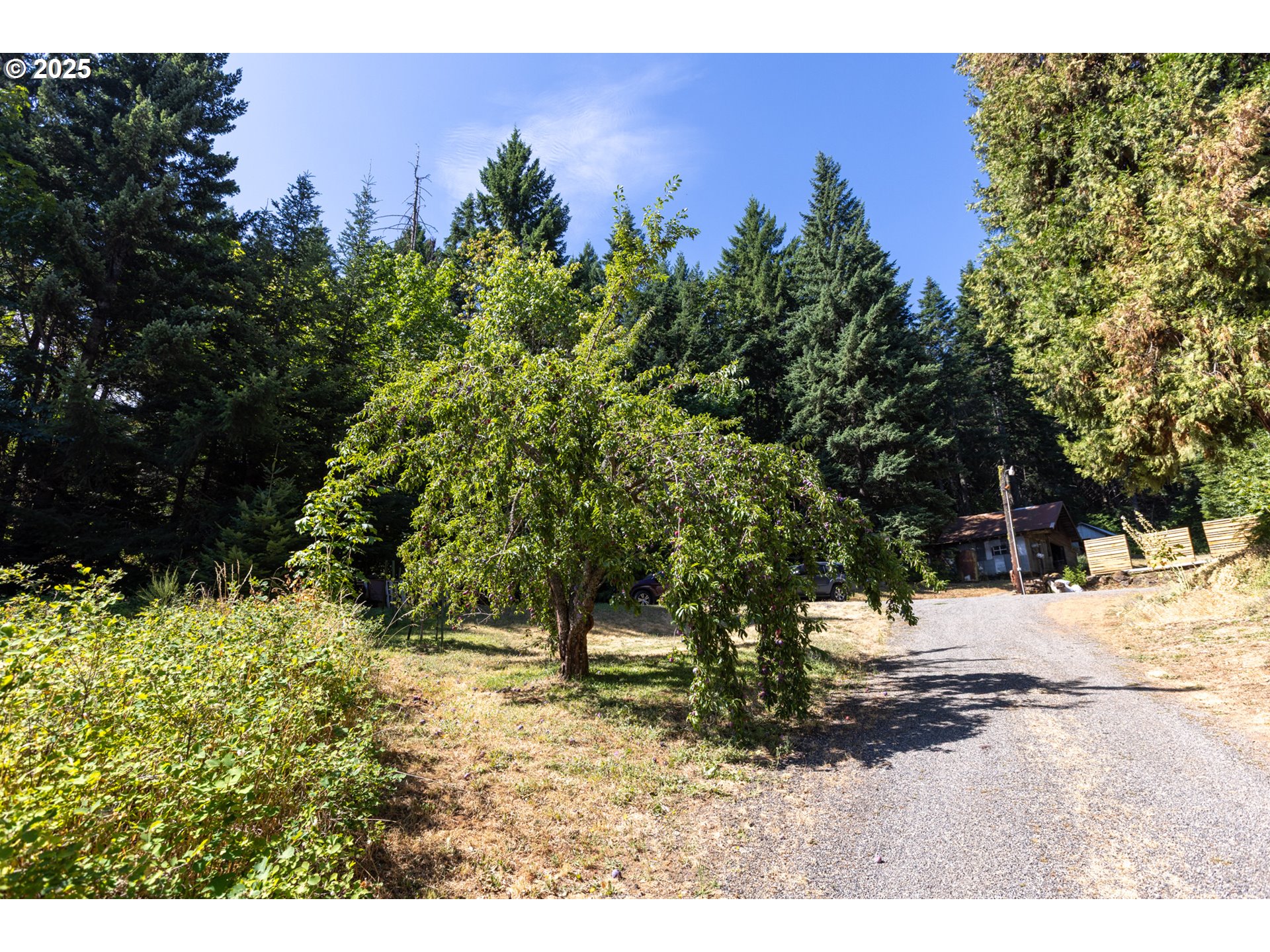 2442 Kingsley Road Hood River, OR 97031 - Photo 34 of 38