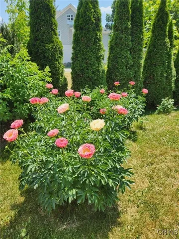 $223,500 | 4168 Acme Road, Frankfort, NY 13340