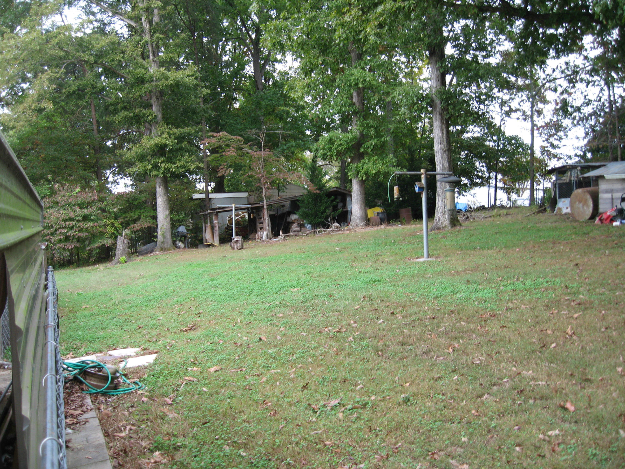 561 Temple Road Walland, TN 37886 - Photo 12 of 14 561 Temple Rd back yard 001