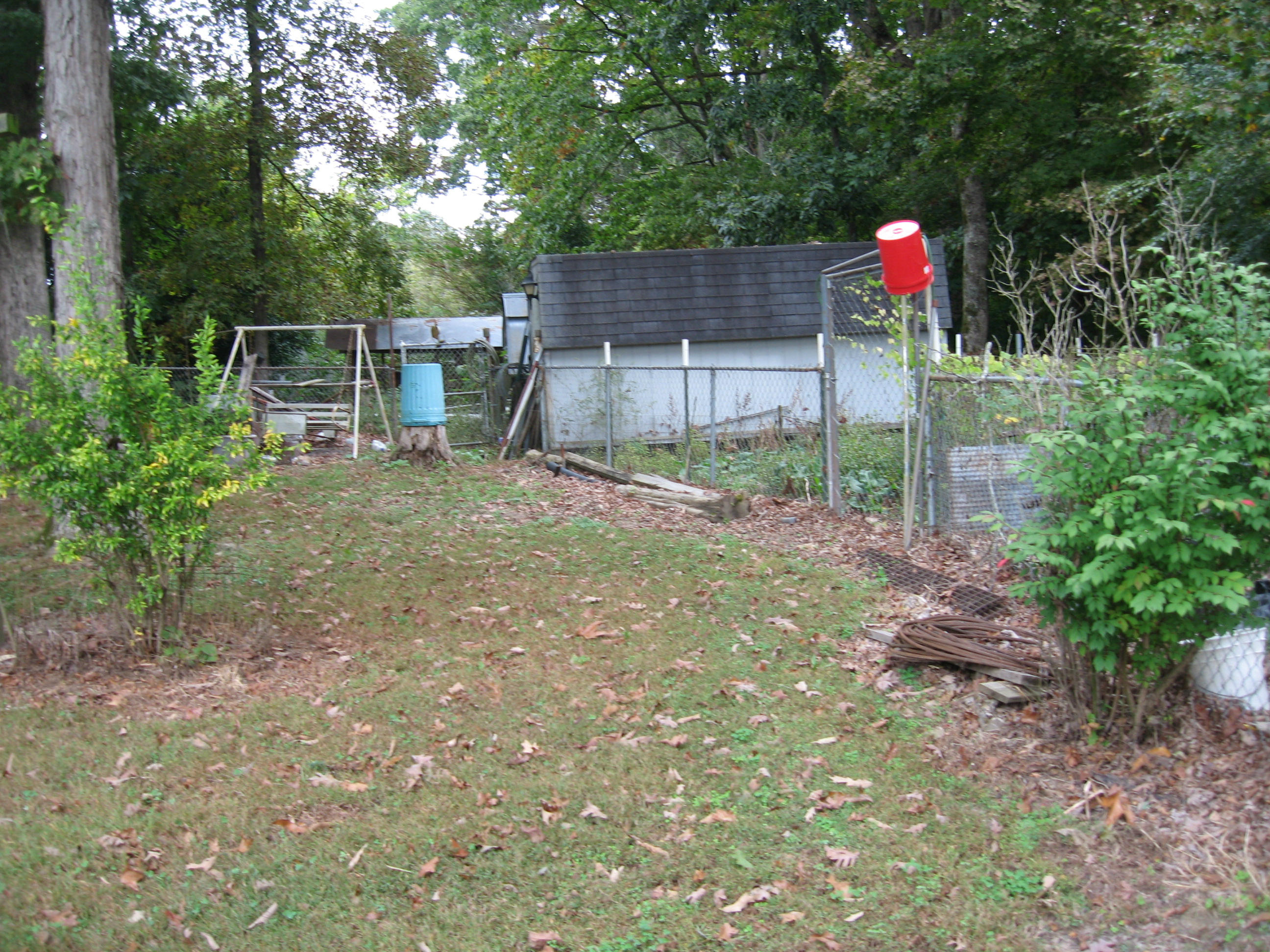 561 Temple Road Walland, TN 37886 - Photo 14 of 14 561 Temple Rd back yard 003