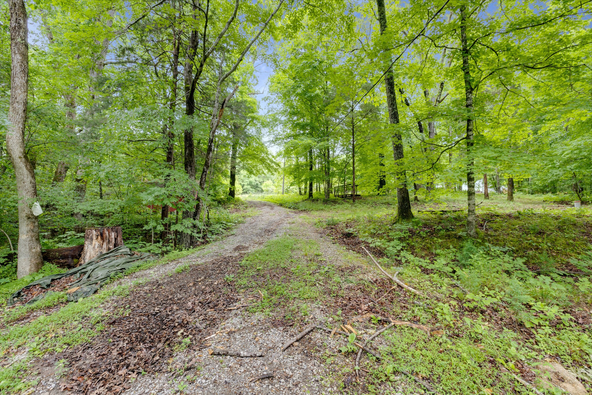 1173 Raney Hill Road Dickson, TN 37055 - Photo 11 of 24 Gallery Image 11