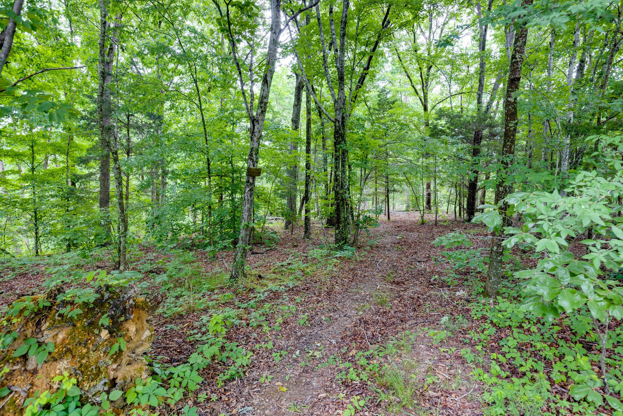 1173 Raney Hill Road Dickson, TN 37055 - Photo 12 of 24 Gallery Image 12