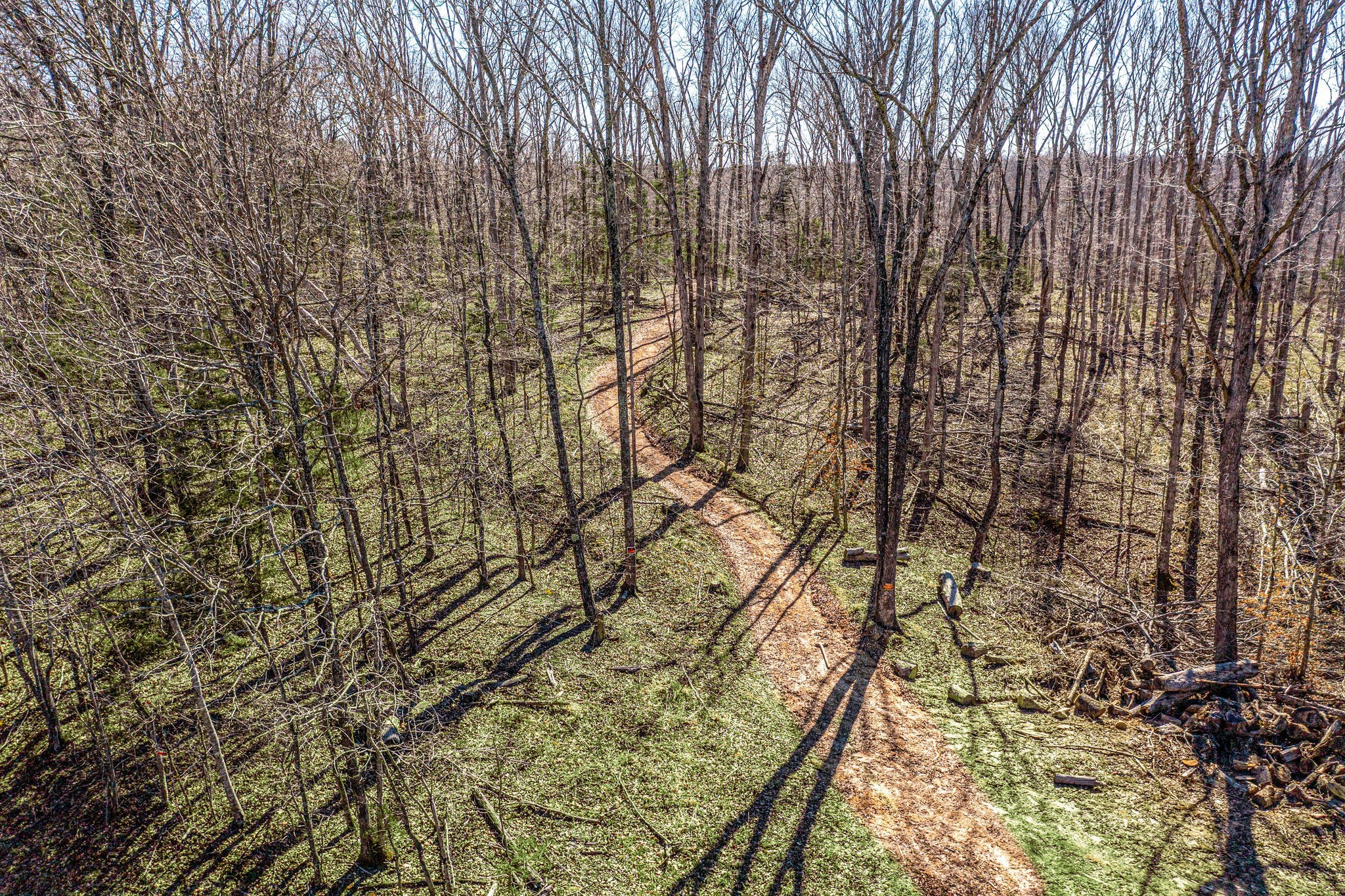 1173 Raney Hill Road Dickson, TN 37055 - Photo 24 of 24 Gallery Image 24