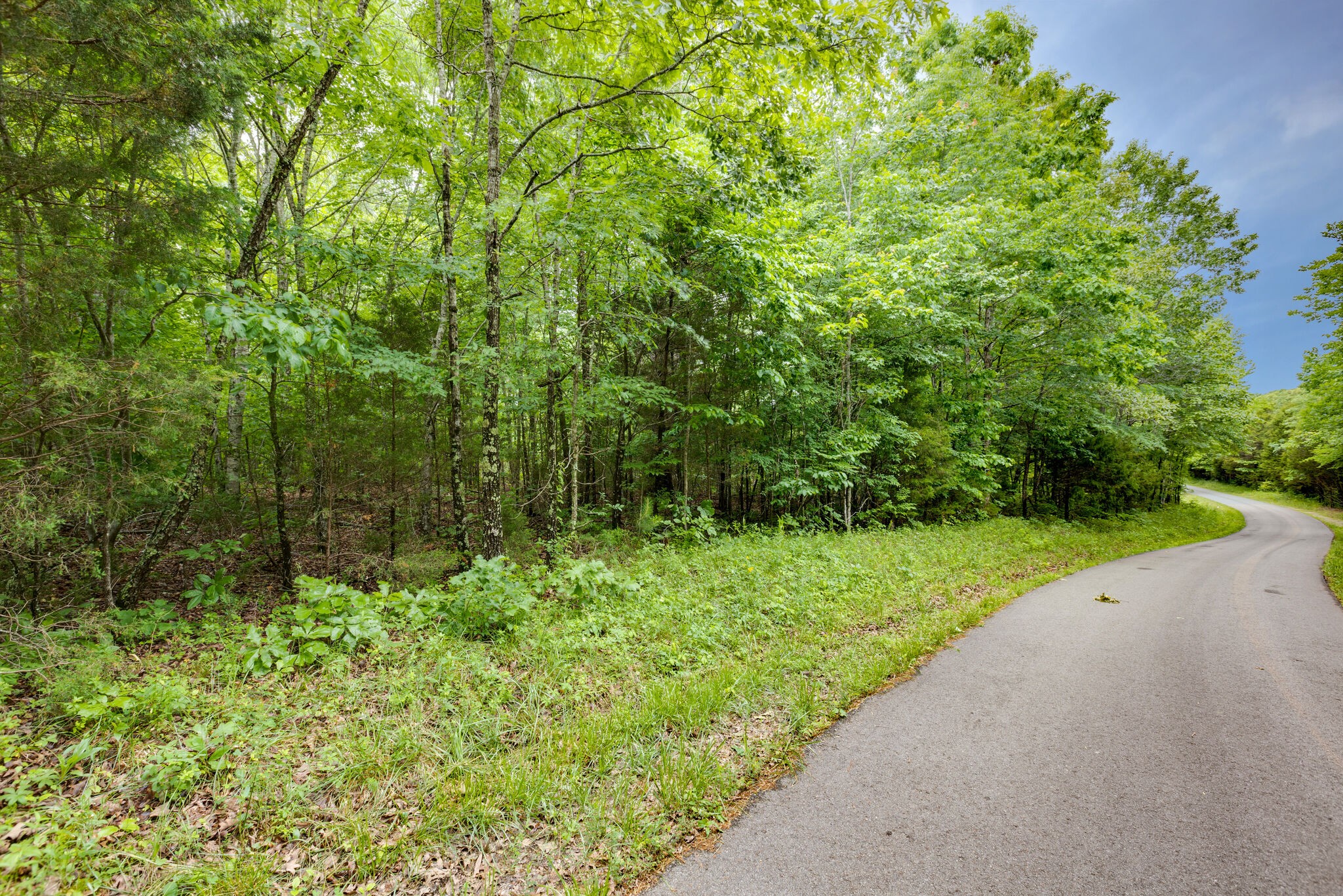 1173 Raney Hill Road Dickson, TN 37055 - Photo 4 of 24 Gallery Image 4