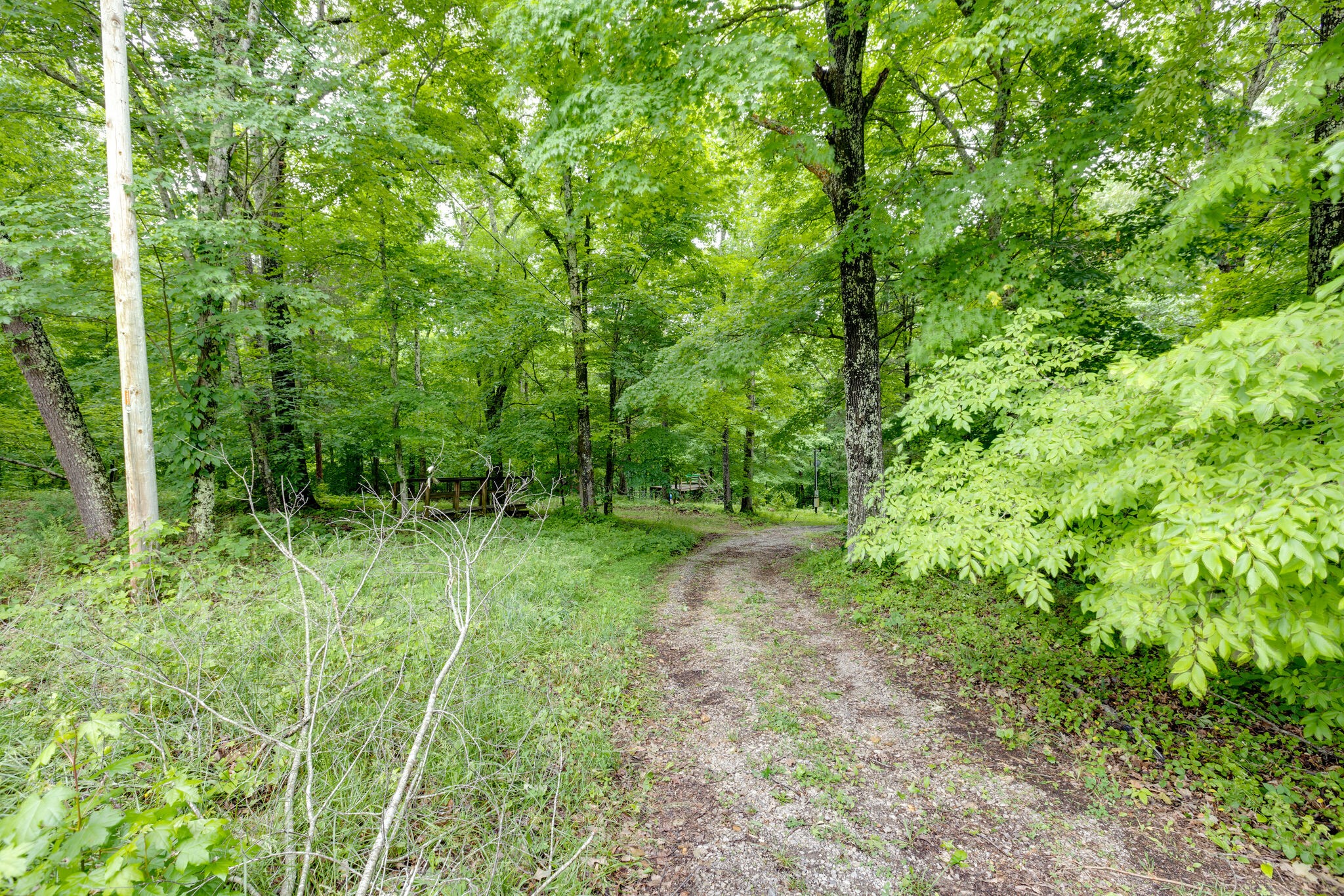 1173 Raney Hill Road Dickson, TN 37055 - Photo 8 of 24 Gallery Image 8