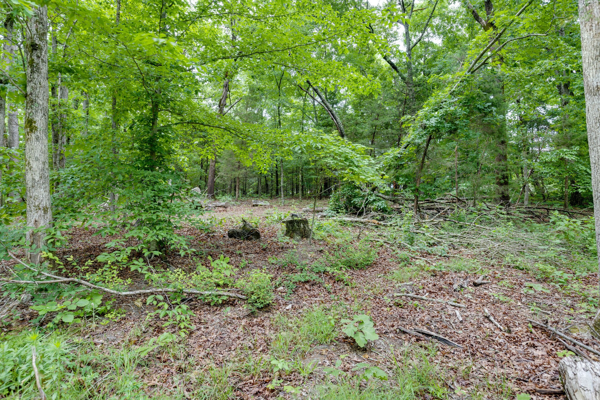 1173 Raney Hill Road Dickson, TN 37055 - Photo 9 of 24 Gallery Image 9