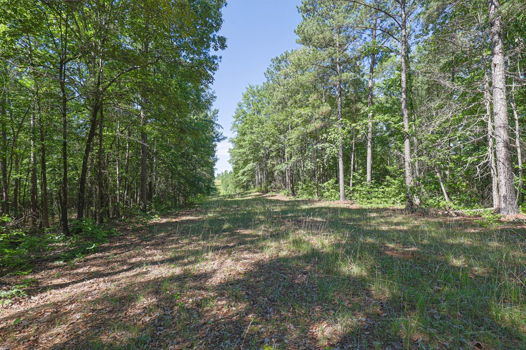 231 Lower Lovelace Road West Point, GA 31833 - Photo 20 of 49
