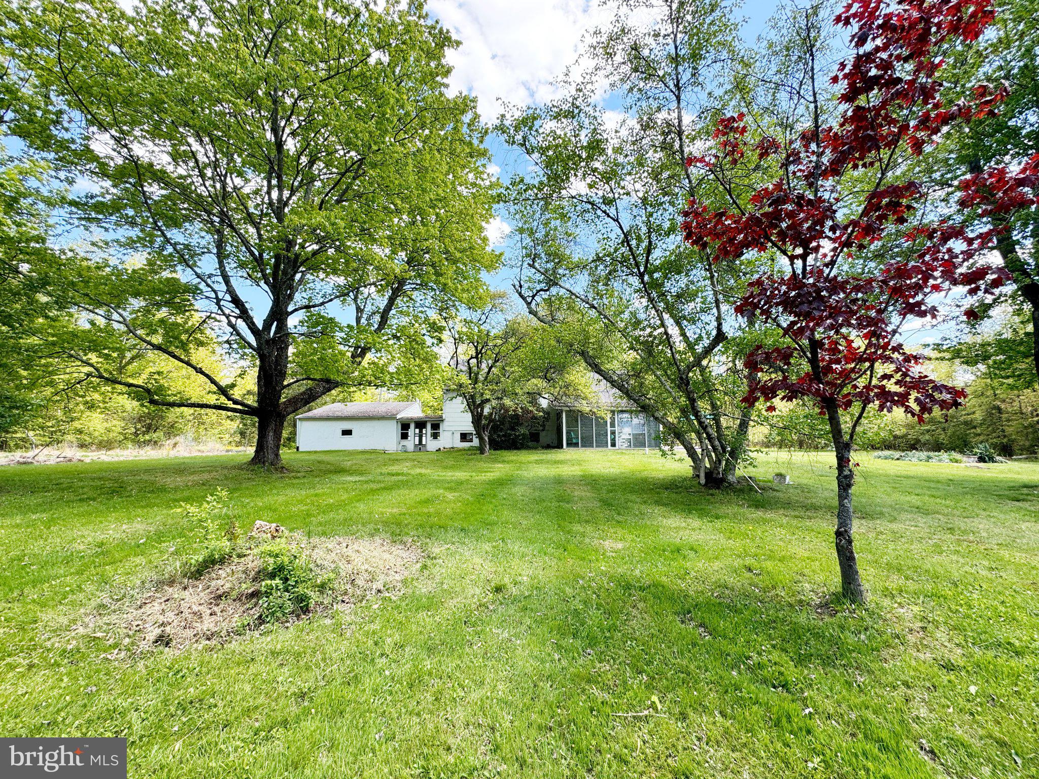4156 Campbell Road Pennsburg, PA 18073 - Photo 27 of 27 Serene green oasis with vibrant trees.