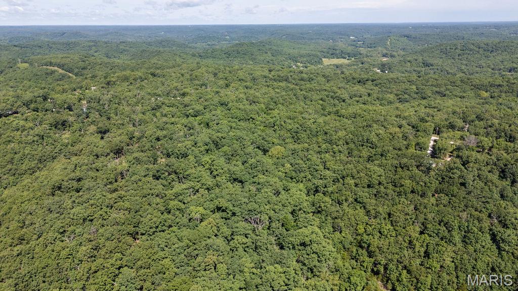 0 Aubrey Bell Road Camdenton, MO 65020 - Photo 11 of 44