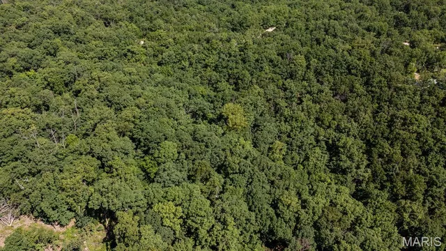 $29,500 | 0 Aubrey Bell Road, Camdenton, MO 65020