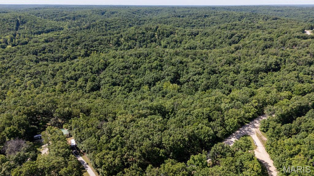 0 Aubrey Bell Road Camdenton, MO 65020 - Photo 28 of 44