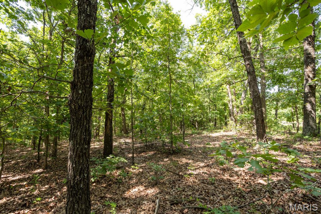 0 Aubrey Bell Road Camdenton, MO 65020 - Photo 29 of 44