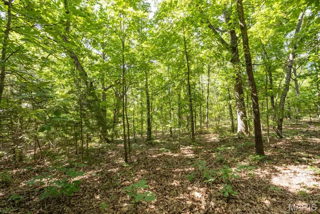 $29,500 | 0 Aubrey Bell Road, Camdenton, MO 65020