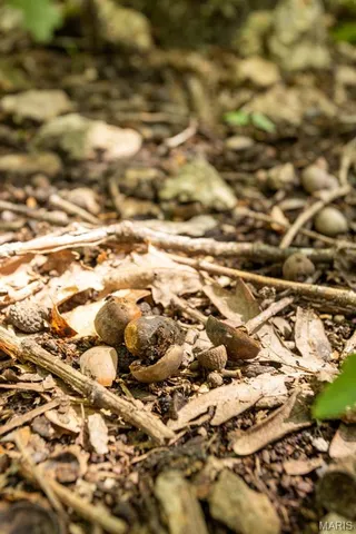 $29,500 | 0 Aubrey Bell Road, Camdenton, MO 65020