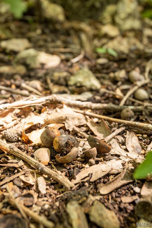 0 Aubrey Bell Road Camdenton, MO 65020 - Photo 34 of 44