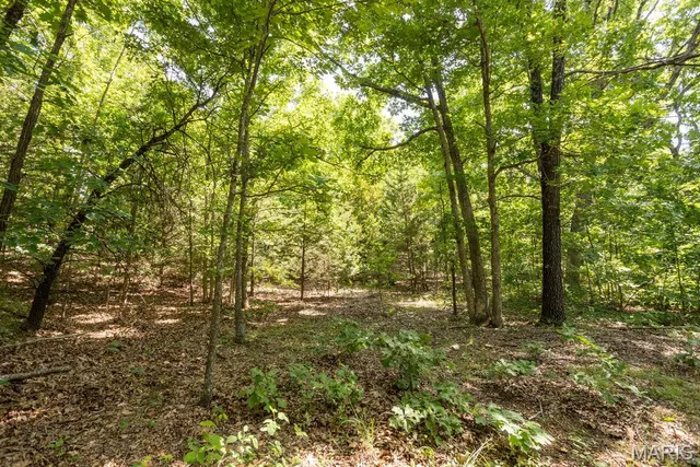 $29,500 | 0 Aubrey Bell Road, Camdenton, MO 65020