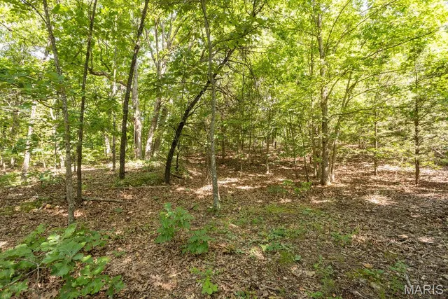 $29,500 | 0 Aubrey Bell Road, Camdenton, MO 65020