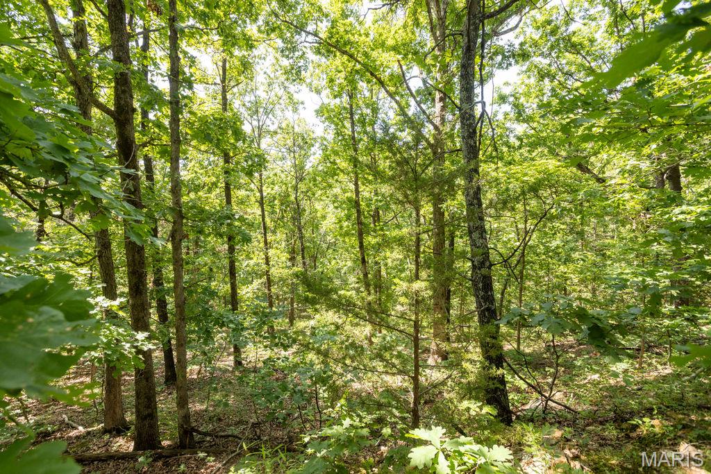 0 Aubrey Bell Road Camdenton, MO 65020 - Photo 37 of 44