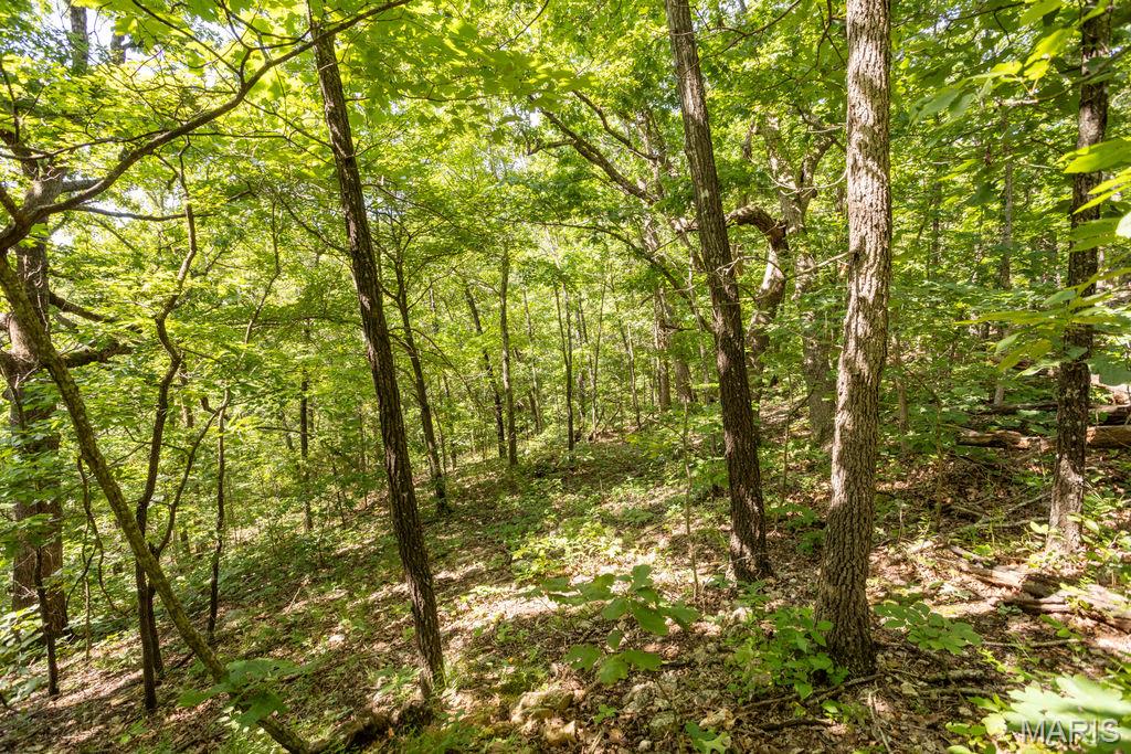 0 Aubrey Bell Road Camdenton, MO 65020 - Photo 38 of 44