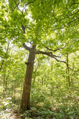 $29,500 | 0 Aubrey Bell Road, Camdenton, MO 65020